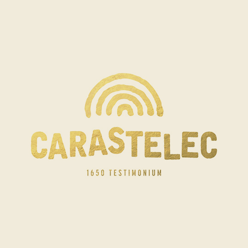 carastelec-partner